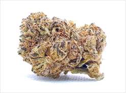GRAPE PIE