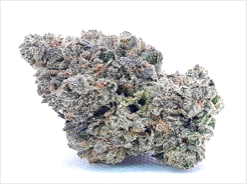 MAUI WOWIE