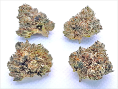 GMO x SKYWALKER OG SMALLS