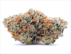 LA CONFIDENTIAL