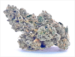 BLUE FLAME OG