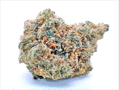 JACK HERER
