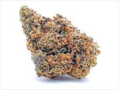 ORANGE COOKIES