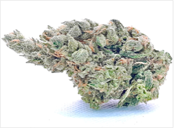 BLUE DREAM