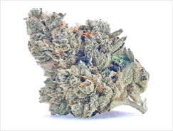 LARRY OG