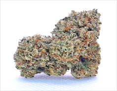 FROSTY OG